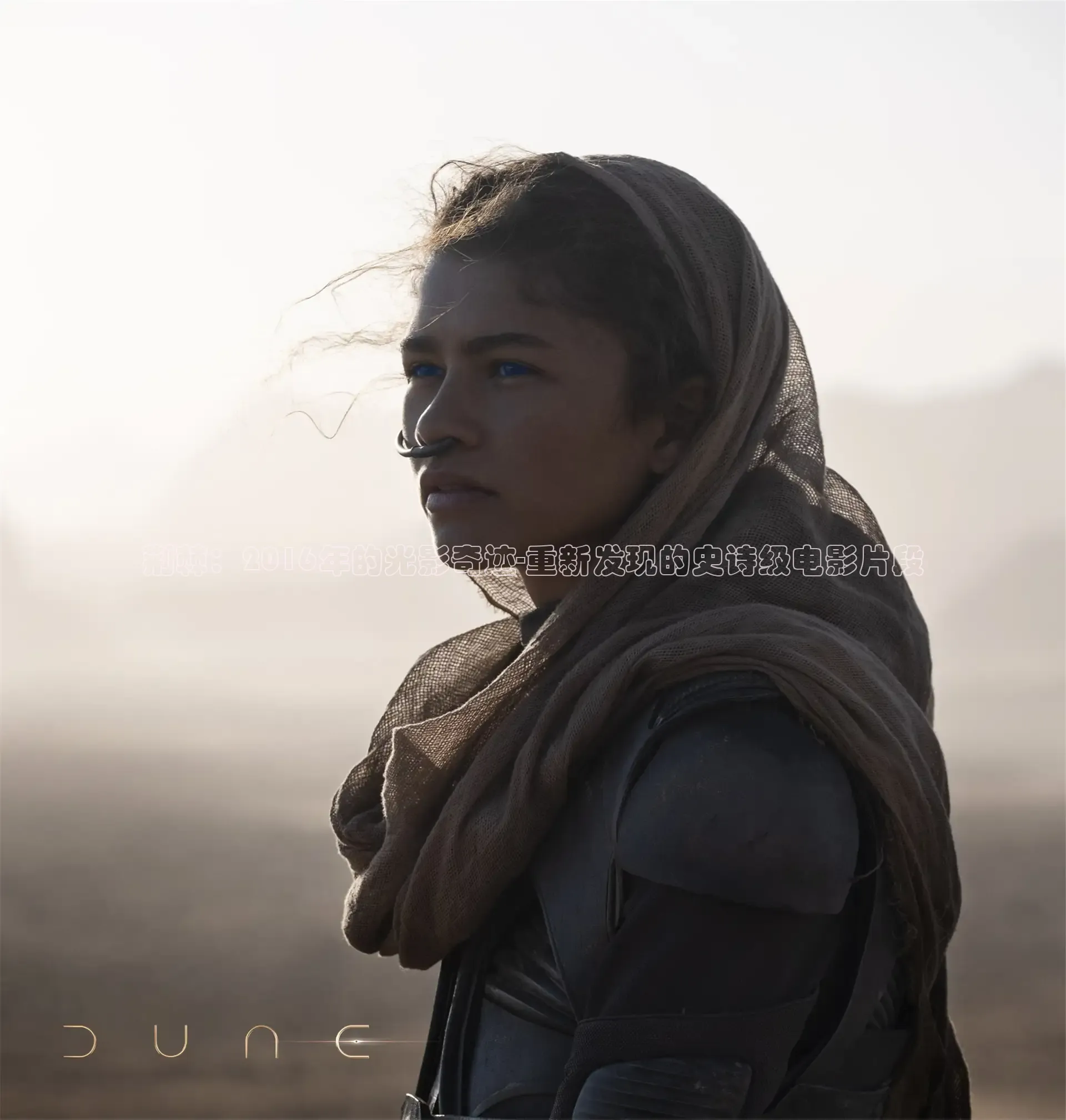 樱花视频在线观看免费播放电视剧